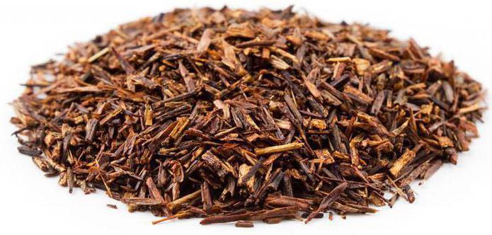 Rooibos te