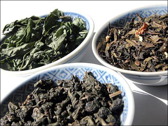 Fordelene ved te er grøn og sort te