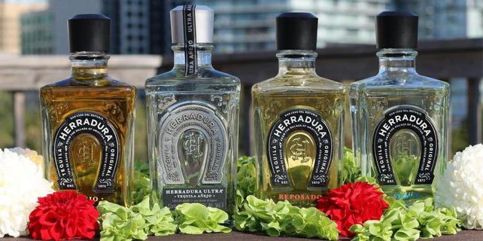 tequila herradura