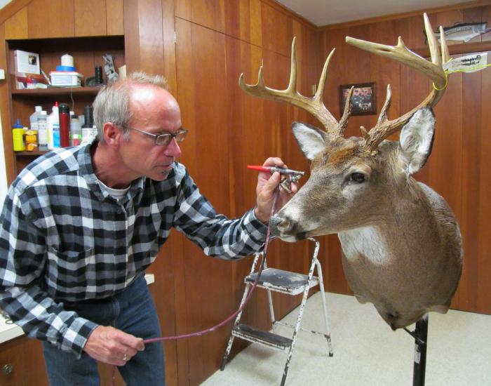 Taxidermist er specialist inden for eksotisk erhverv