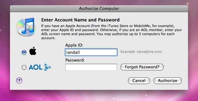 hvordan du finder ud af dit apple id