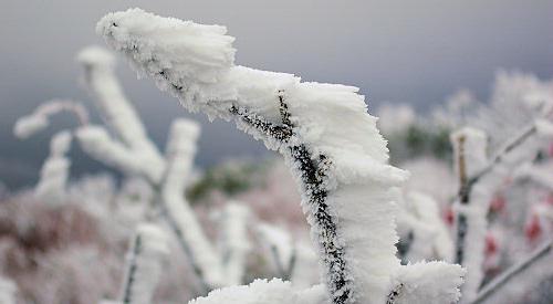 Frost er et fantastisk fænomen