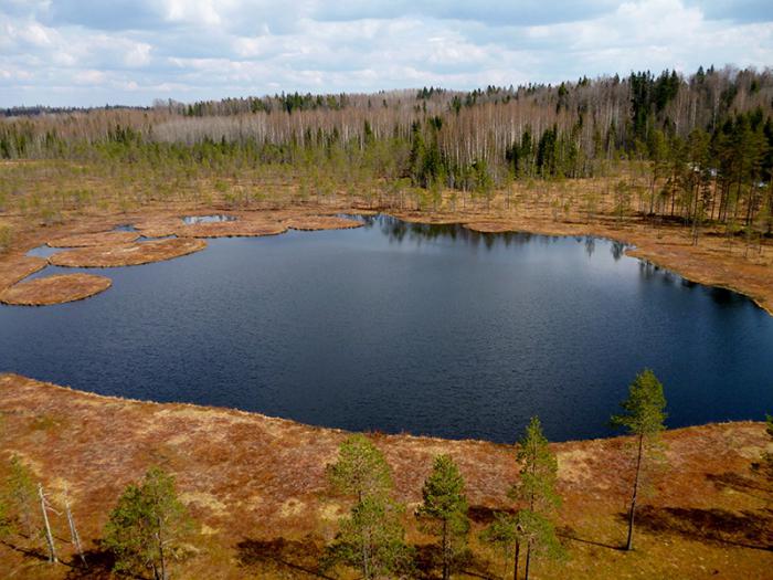 National Valdai Park: beskrivelse