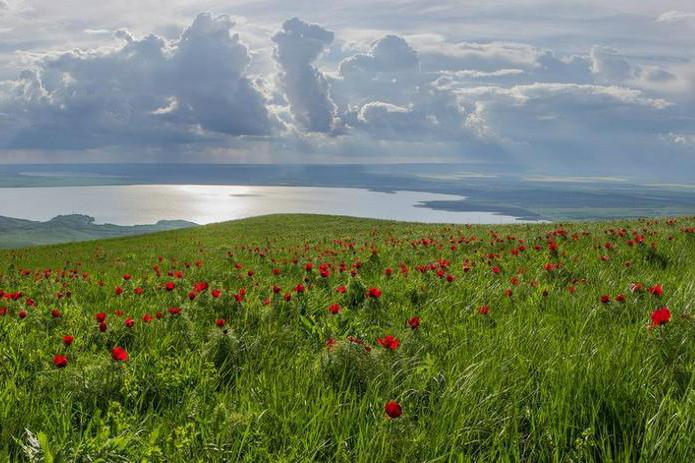 Vejr og klima i Stavropol Territory