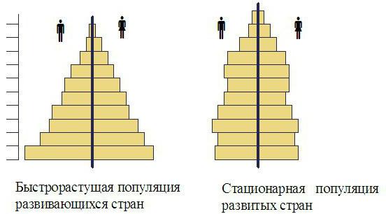 alder og sex pyramide af Rusland 