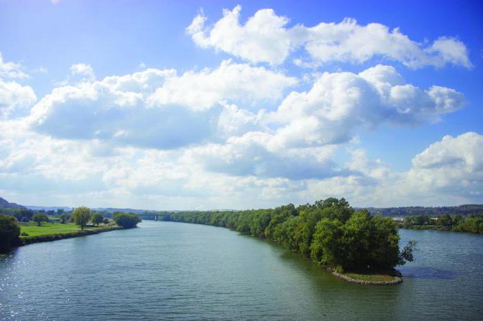 Ohio-floden: en beskrivelse, den aktuelle art