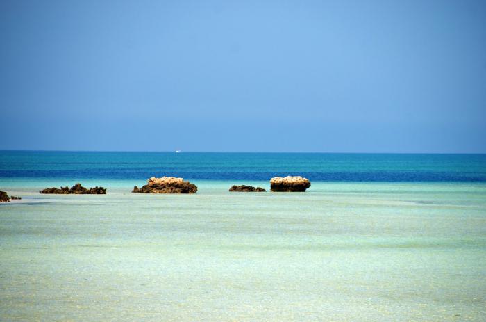 Hvad er havet i UAE? Vi finder ud af det!