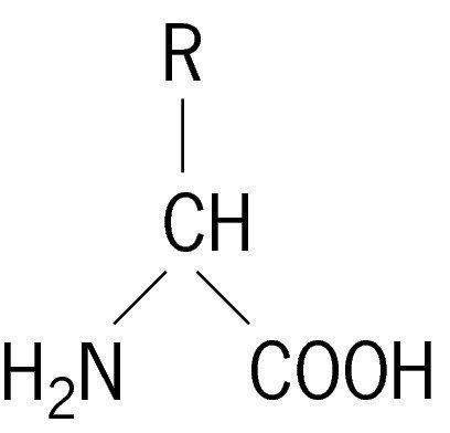 aminosyrer med formel