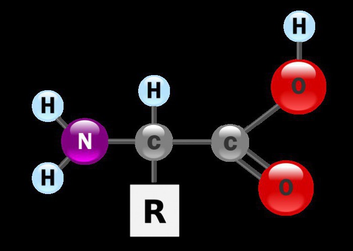 aminosyrer med formel og navn
