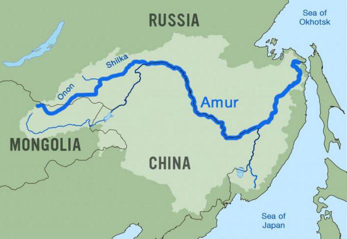 Amur River Photo