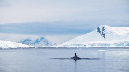 Atlanterhavet på verdenskortet