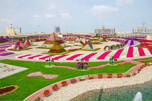 Arabisk vidunder af verden: en park med blomster i Dubai