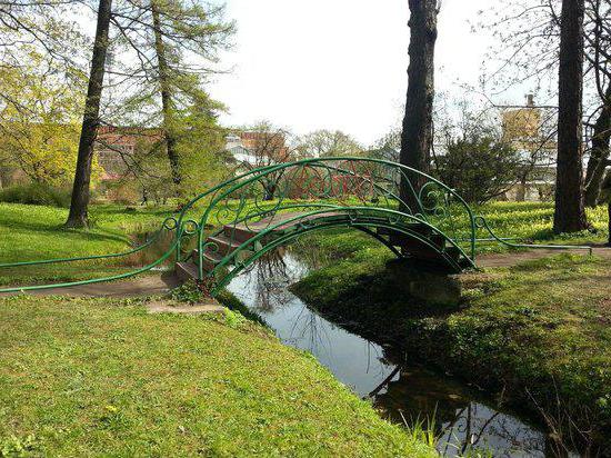 botanisk have petra stor historie