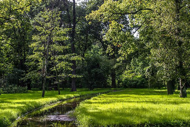 Botanisk have i Skt. Petersborg: foto, pris og tidsplan