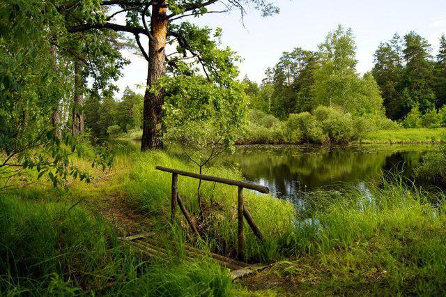 ferie med telte Ryazan regionen