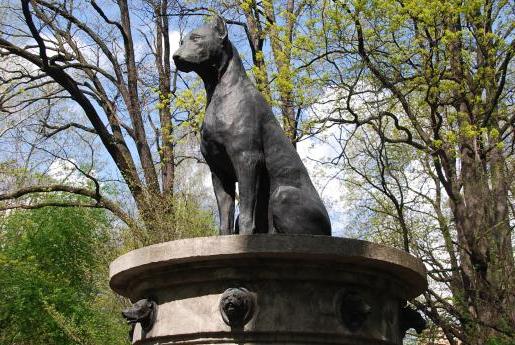 et monument til en hund i Togliatti