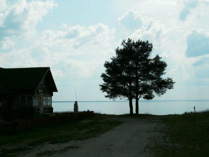 Kenozersky National Park Photo