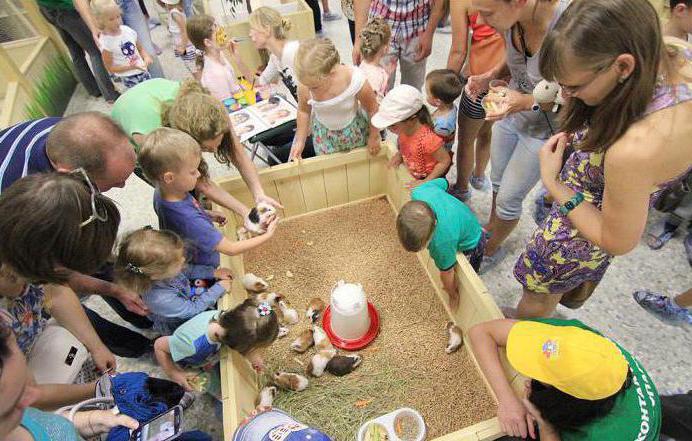 kontakt zoologisk have i Minsk