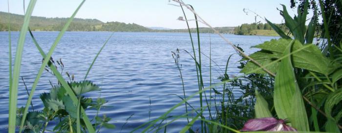 Krasnoyarsk Territory: Lake Linevo. Foto. Rekreative centre