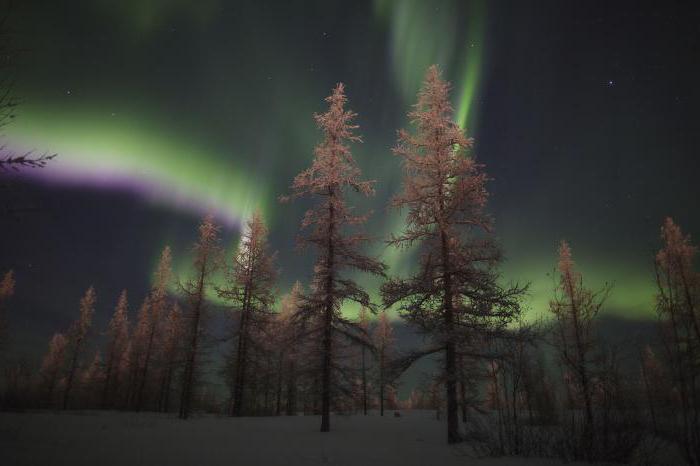 Novy Urengoy: attraktioner, fotos og navne