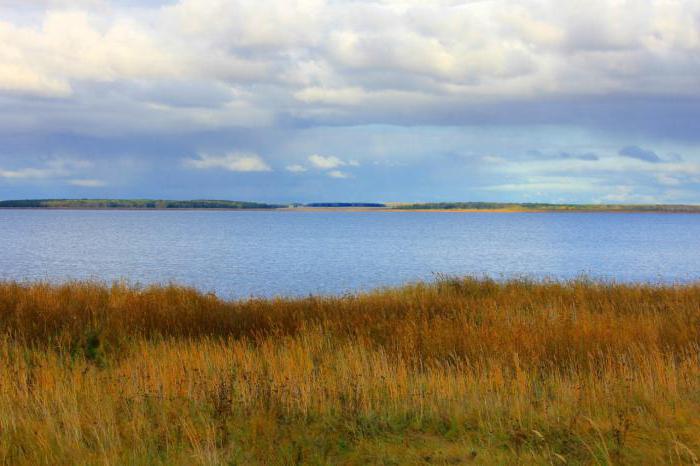 søer i Kurgan region bjørn