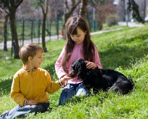 Bitten af ​​en hund, hvad skal man gøre