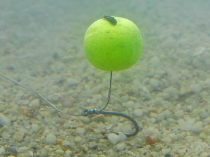  Fiskeri på boilies