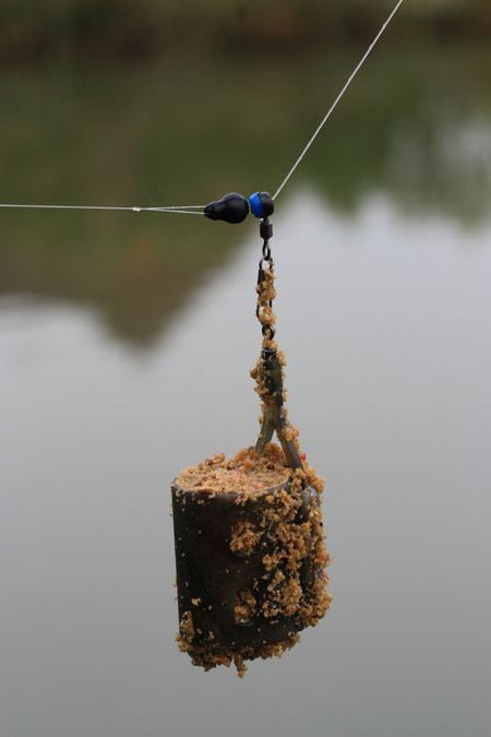 fanger på en feeder i foråret