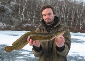 Fiskeriets hemmeligheder: hvad skal man fange burbot?