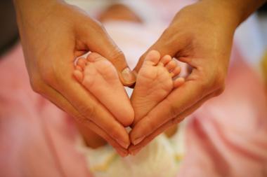 Perinatal Center of Almazov. Læger i perinatal center. Fødsel i perinatal centrum